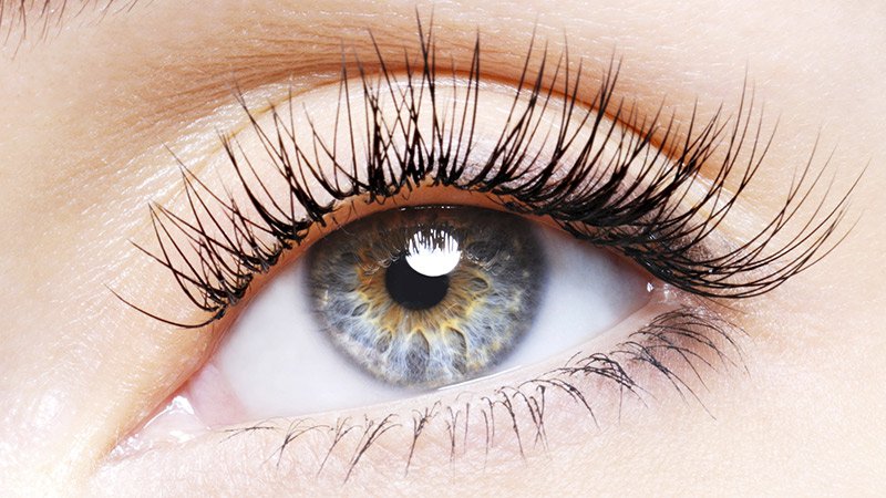 Un paysage naturel avec des montagnes, des arbres et un ciel bleu.